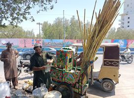 Sugar cane juice (Ganna ras)