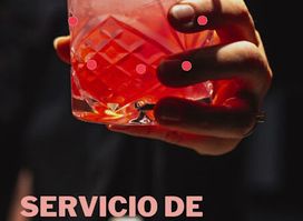 Motorflair Bartender cócteles y barras móviles