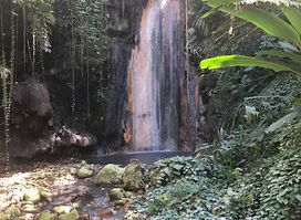 Garden Of Eden