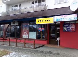 Campionii
