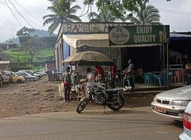 Bamboo Magic Bar