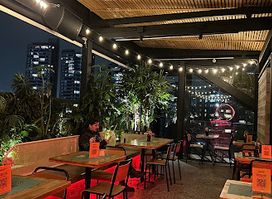 Mosquito Rooftop