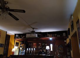 Free Pub