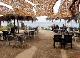 Seagull beach bar