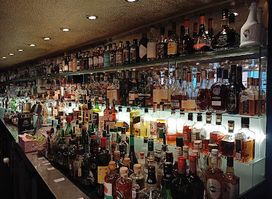 Blauer Fasan Bar Bremen