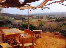 Restaurant The Falcon El Haouaria