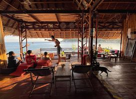 Shark View Bar