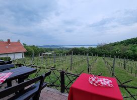 Laci Pince Csárda (Balatonudvari)