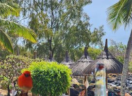 Creole Smoke House