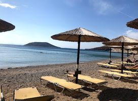 The island beach bar