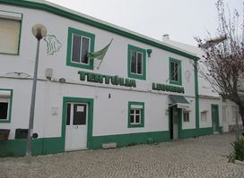Tertulia Leonina