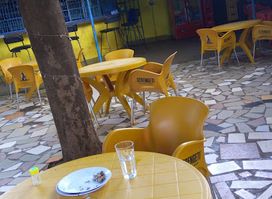 Forest Bar