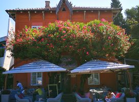 Le Petit Chateau