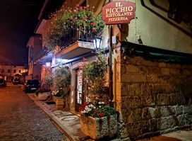 Ristorante “IL PICCHIO”