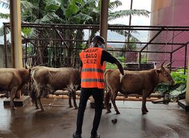 Kipe Conakry