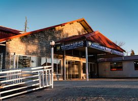 Hummingbird Resort & Executive Suites