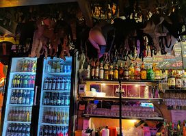 Travel Shack Vienna