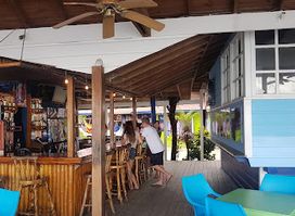 Blue Marlin