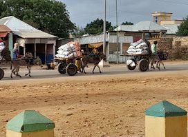 Zeytuun Bar and Restaurant Baidoa