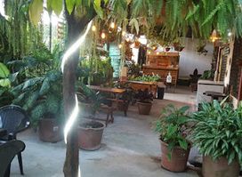 El bamboo