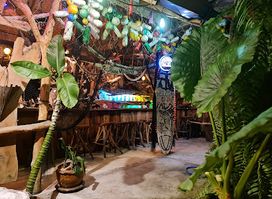 Fat Shark Bar