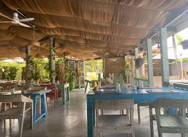 Green House Bar, Cafe, Restaurant