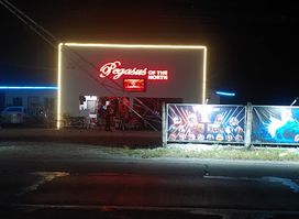 Pegasus of the north