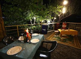 Dingo Shed Bar