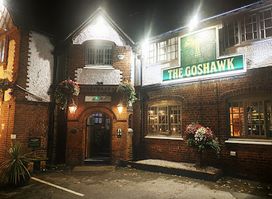 The Goshawk
