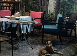 Sleepy Dog Pub