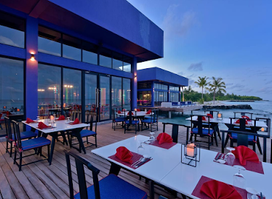 Sea Dragon Restaurant / Forbidden Bar