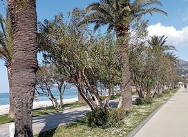 Bar Promenade