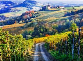Enoteca Regionale del Barolo