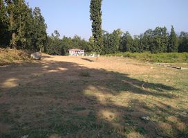 Auli paradise