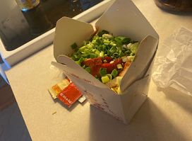 V8/ panda restaurant
