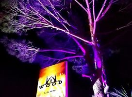 Wood resto-pub