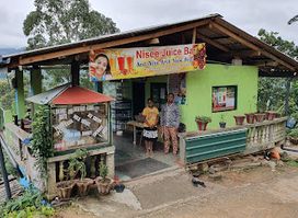 Nisee Juice Bar