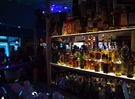 The Shots