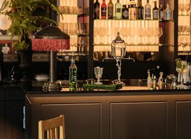 Arthur Schnitzler Bar