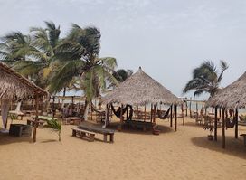 Zone 5 Playa
