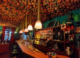 The hanging gardens of Ehrenfeld