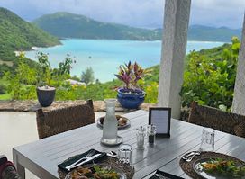 Guana Island