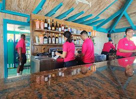 The Wacky Seagull Beach Bar