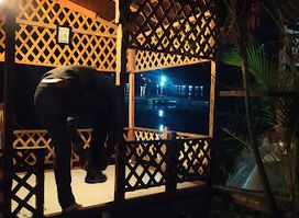 Green Zone Seafood Resto