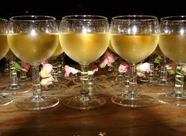 The Muster Bar te kuiti