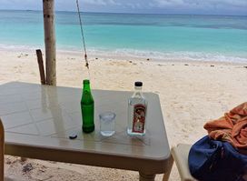 Josephine's Grilled fish and Barbecue