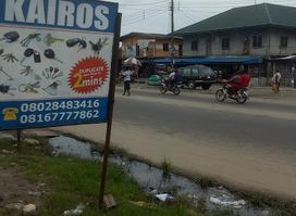 KAIROS NIG LTD