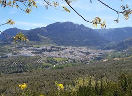 Cazorla