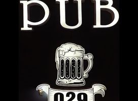 Pub 029