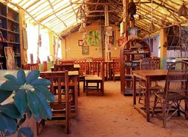Gecko Café
